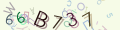You must read and type the 6 chars within 0..9 and A..F