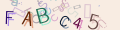 You must read and type the 6 chars within 0..9 and A..F